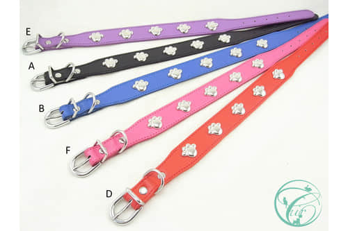 D-C0001-Electroplated Paw Stud Dog Collar