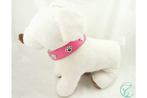 D-C0001-Electroplated Paw Stud Dog Collar