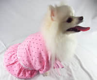 A-A0003-Pink polk dots straps dress