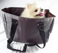 A-R0001-Concise Pet Bag