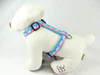 D-H0009- Dolphin H Shape Harness